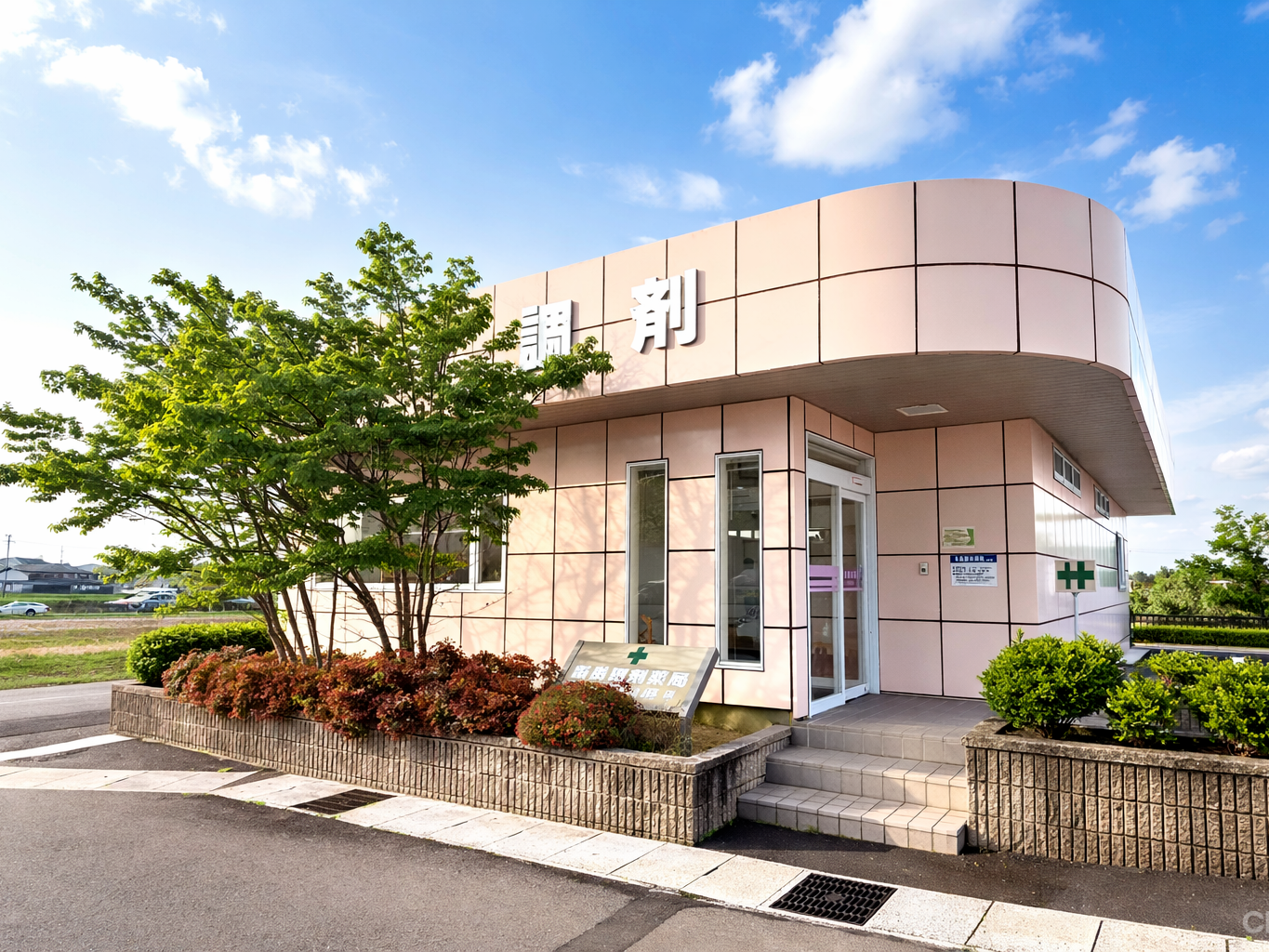 寺島調剤薬局 糸貫店　外観